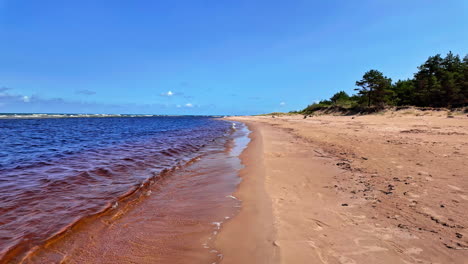 Walk-on-a-beach-at-the-baltic-sea,-small-waves-are-splashing-on-the-sand-on-a-sunny-and-warm-day-and-a-blue-sky,-slow-motion-in-copy-space