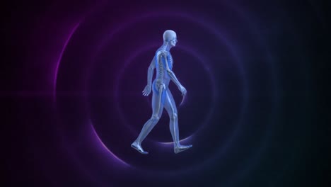 human prototype walking in a purple circle