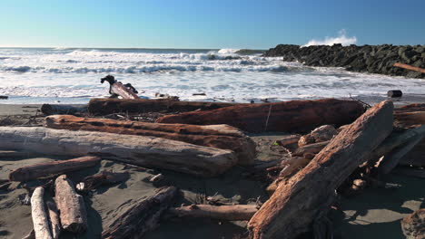 driftwoods against rolling waves during sunny day in gold beach, oregon