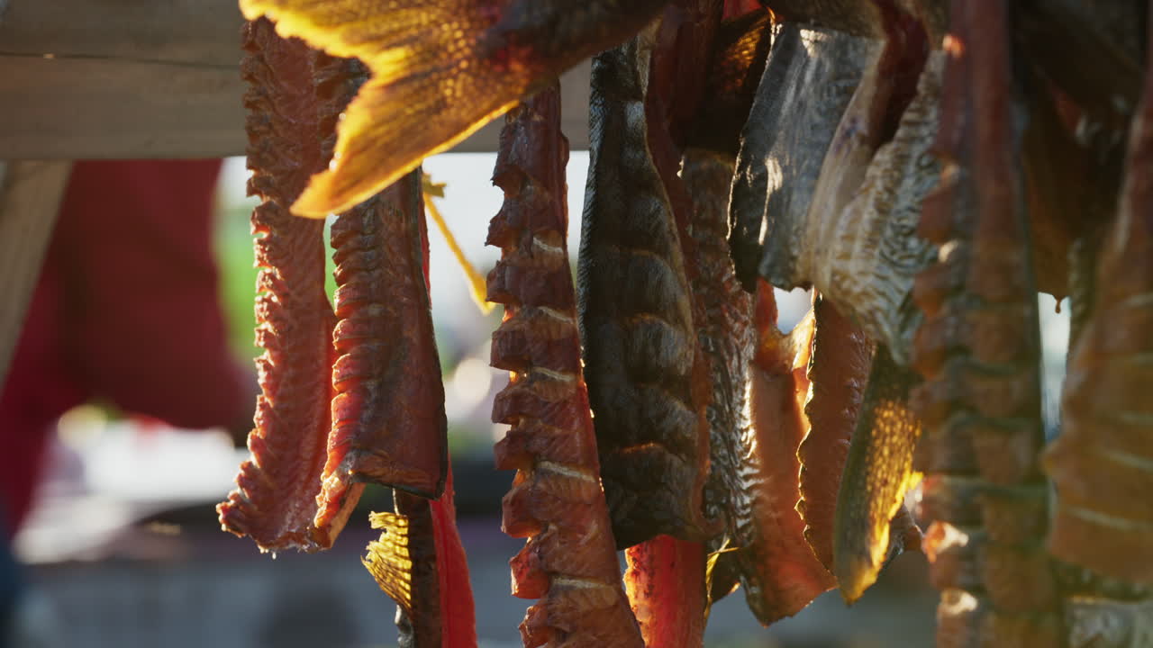 Lake trout on smoke rack with a pan right to left.