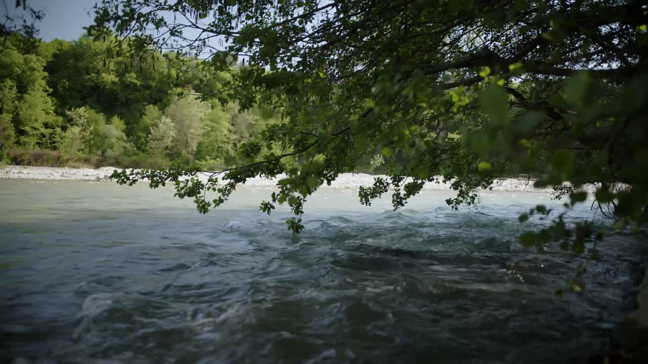 Fast-moving river captured beneath low-hanging spring leaves with sunlight reflecting on the water.
