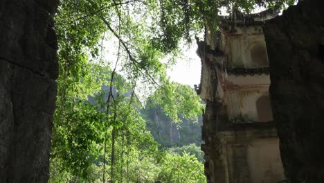 sunlit foliage frames the weathered tower of bich dong pagoda in ninh binh, with karst cliffs beyond and a quiet pond edge in view, wide static handheld shot