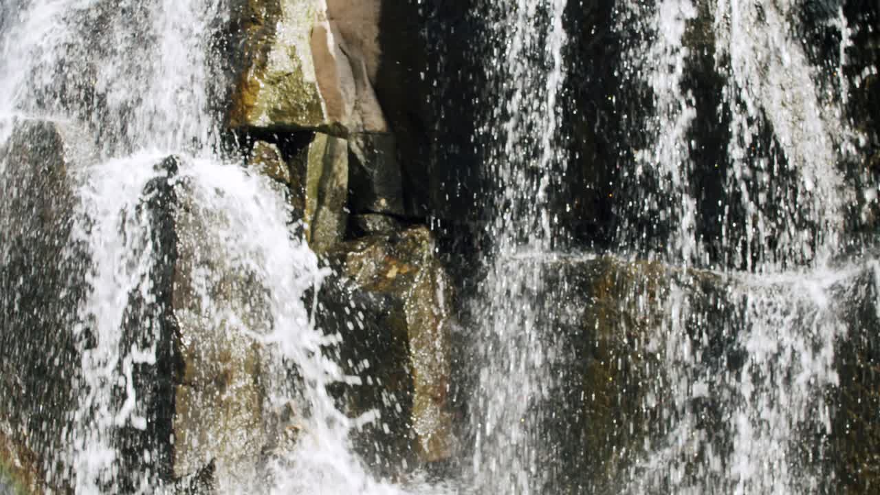 숲 속의 작은 폭포 한가운데