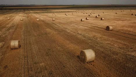 hay bales in a field
