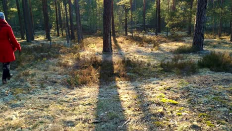 adult woman wearing a red coat walks in front of camera and into forest alone