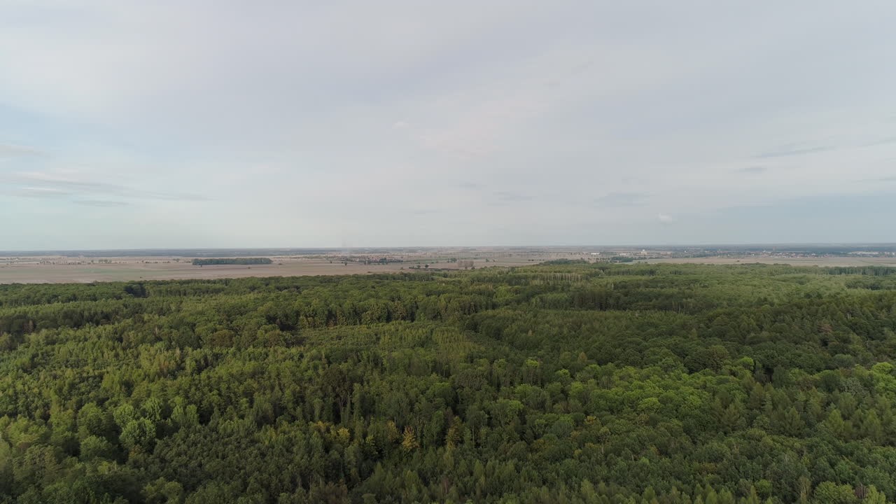 vista aérea de campos agrícolas y bosques 3