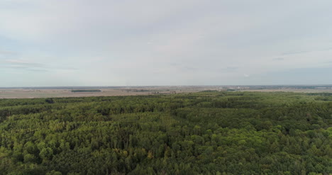 Luftaufnahme-Von-Landwirtschaftlichen-Feldern-Und-Wald-3