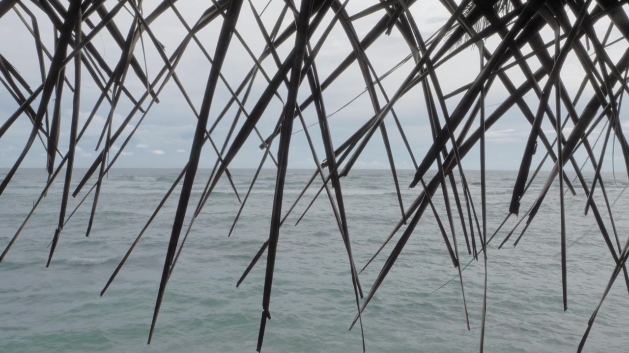 View of rough tropical ocean waves from beneath palm thatch on Mirissa Beach, Sri Lanka, with dark fronds framing a cloudy seascape and moody coastal horizon.
