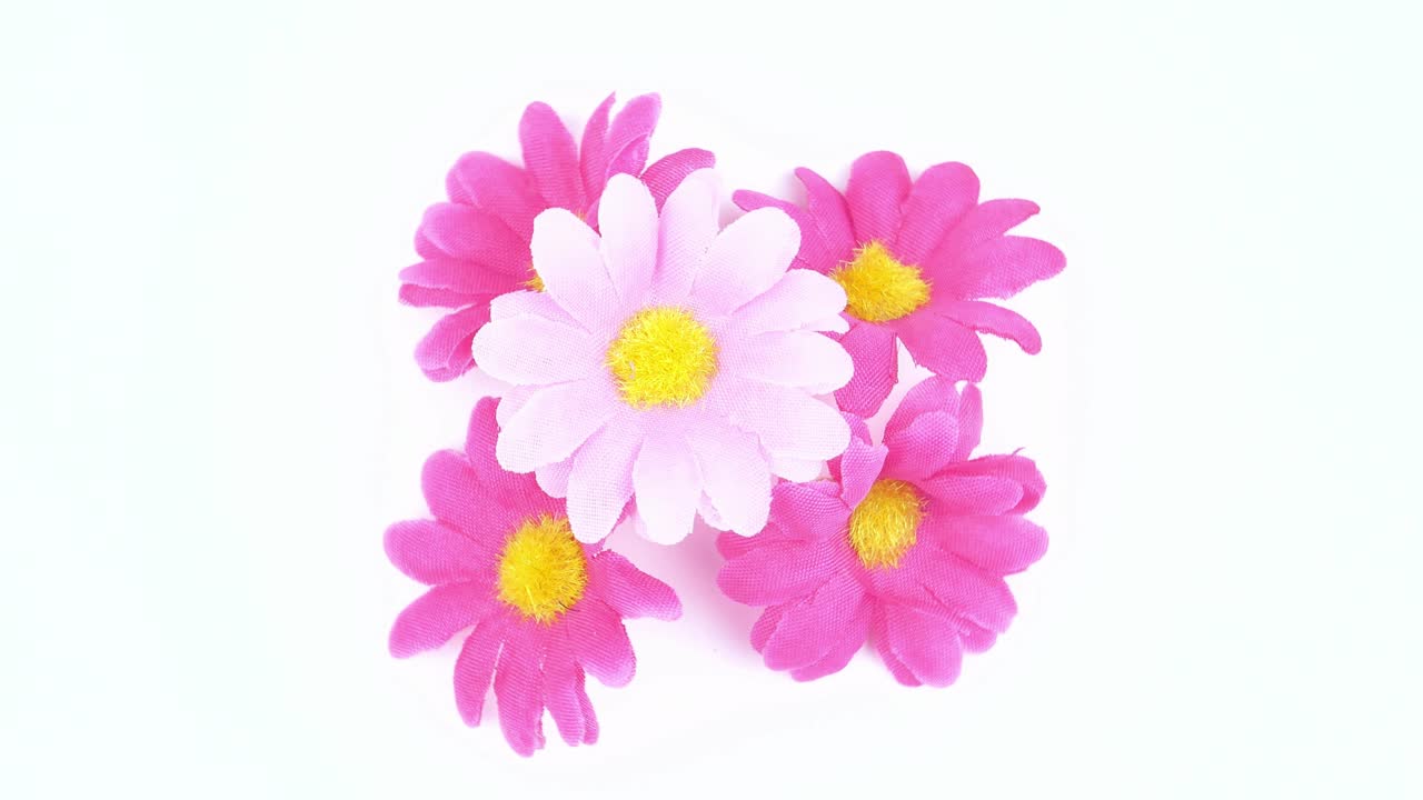 flores silvestres en un fondo blanco. vacaciones. día de la madre. día internacional de la mujer. día de san valentín.