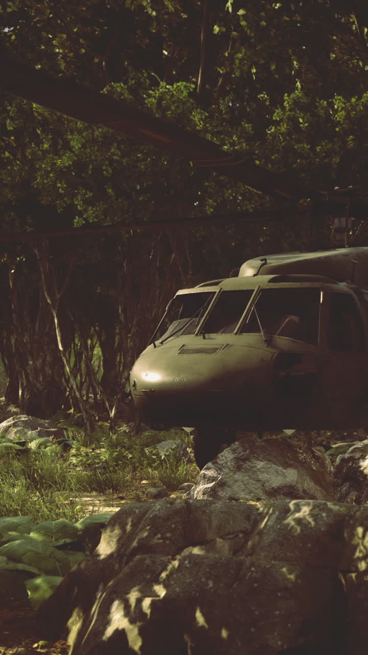 높이  ⁇ 은 나무들로 둘러싸여