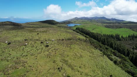 Paisaje-Verde-Y-Volcánico-De-La-Isla-Pico-En-Las-Azores