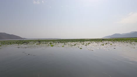 Bootsfahrt-Auf-Dem-Skadarsee-In-Montenegro