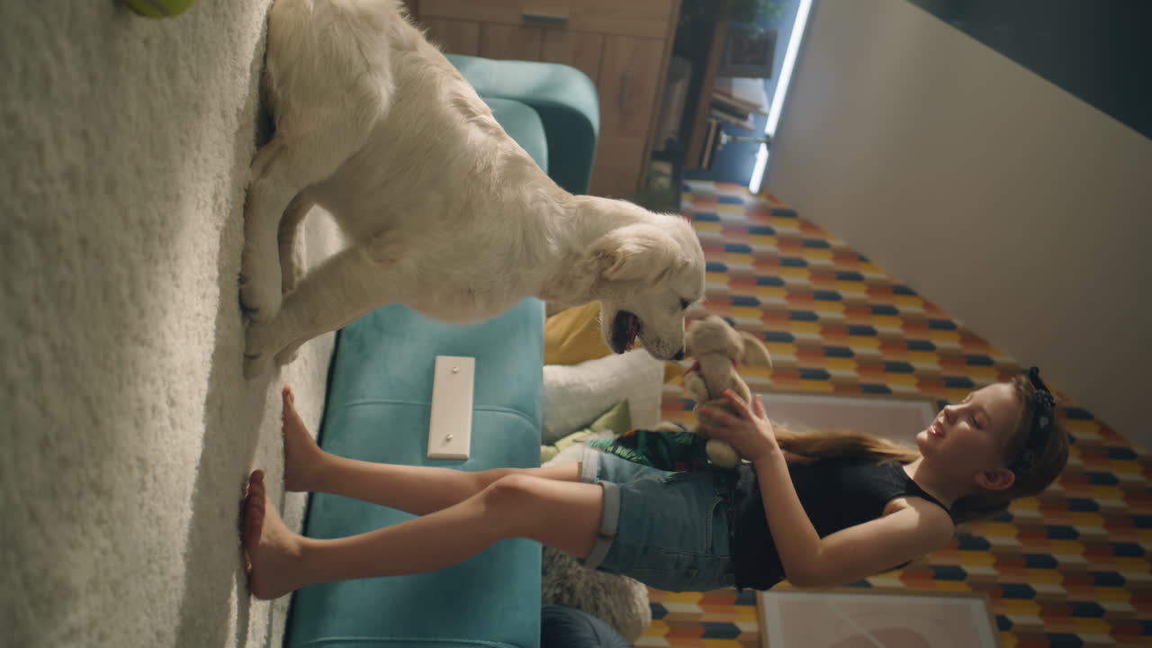 Girl and Golden Retriever Playing with Toys