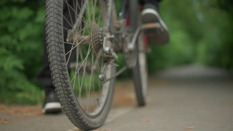 close-up of someone rotating the pedal of his bicycle backwards while standing on a paved path, the bicycle wheel and pedal are in focus, while the greenery in the background is blurred