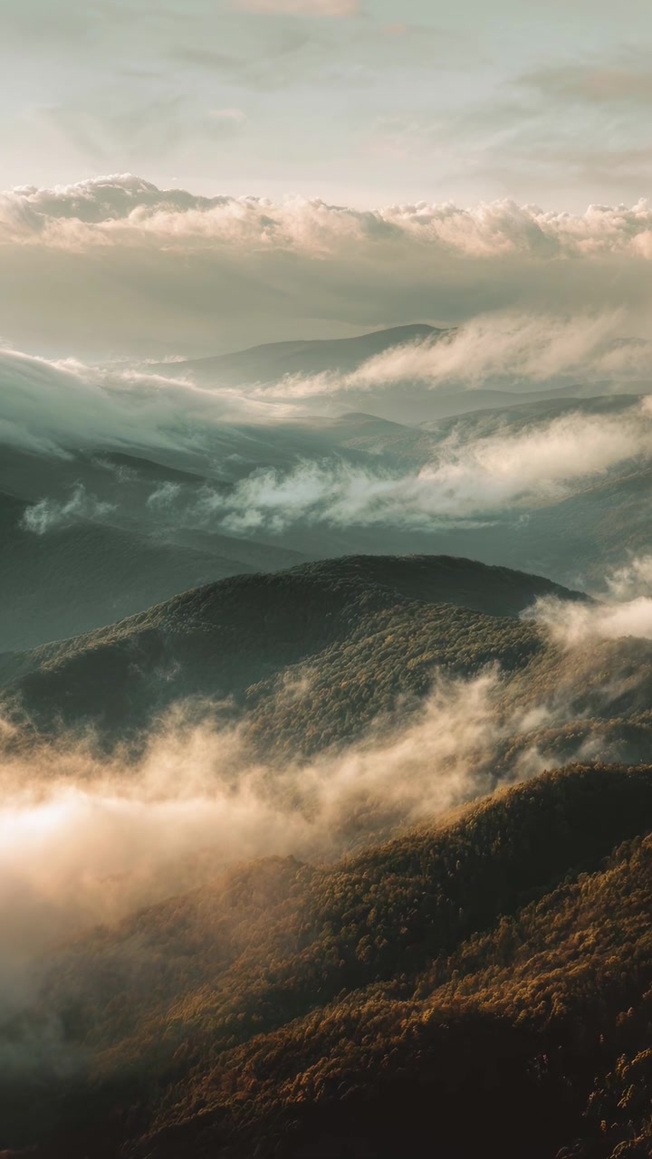 Aerial View of Misty Forested Mountains at Sunset