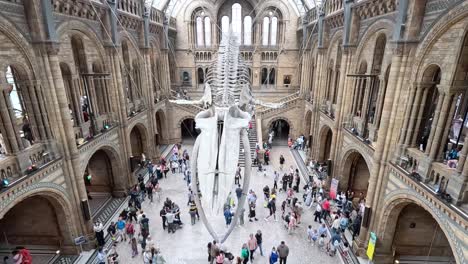 visitors explore the whale skeleton exhibit