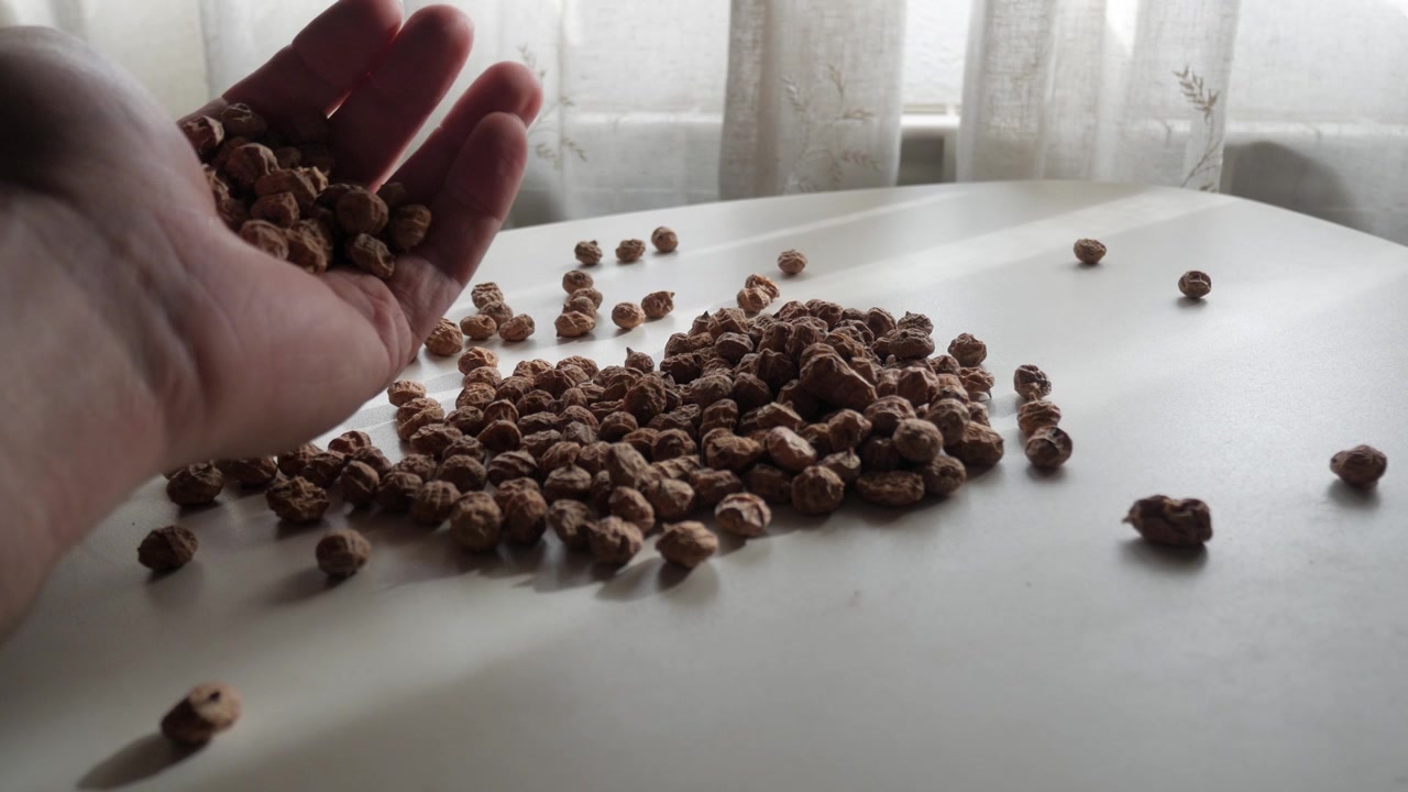 Smistamento a mano di un mucchio di zigoli dolci su un tavolo bianco alla luce naturale degli interni