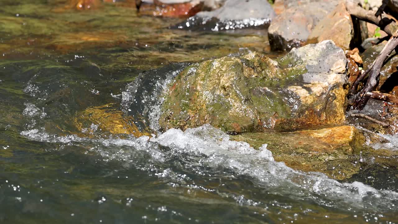 Sunlit creek water rushes over mossy rocks, steady camera, natural forest setting, daytime lighting