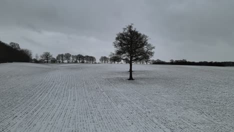 bare fields in english winter snow flurries line of trees in background aerial 4k