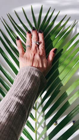 woman's hand touching a palm leaf