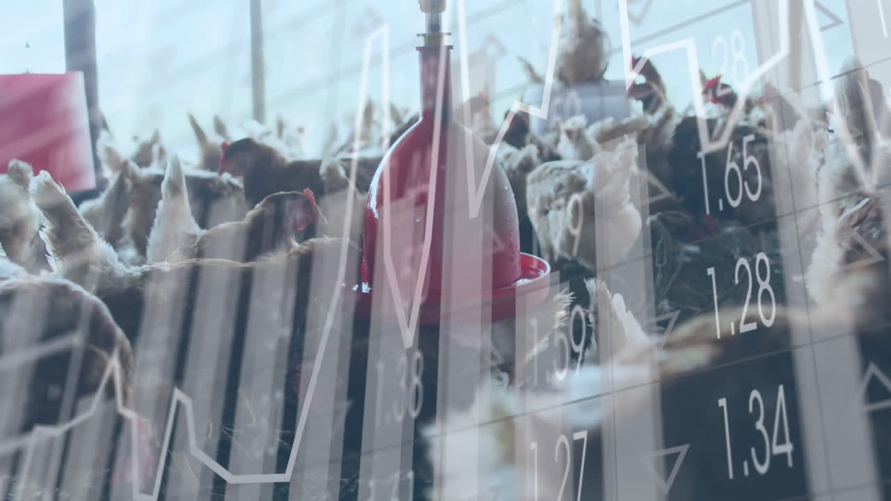 농장에서  ⁇ 에 대한 금융 데이터 처리의 활성화