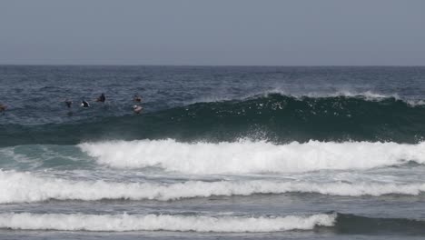 Brown-Pelican's-flying-over-the-Pacific-Ocean-near-rocks