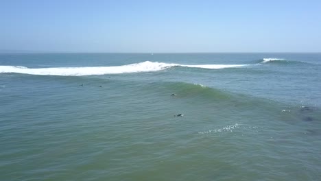 some surfer trying to catch the next wave unbelievable aerial view flight panorama curve flight drone footage of santa cruz beach surf spot shake point usa 2018 cinematic view above by philipp marnitz