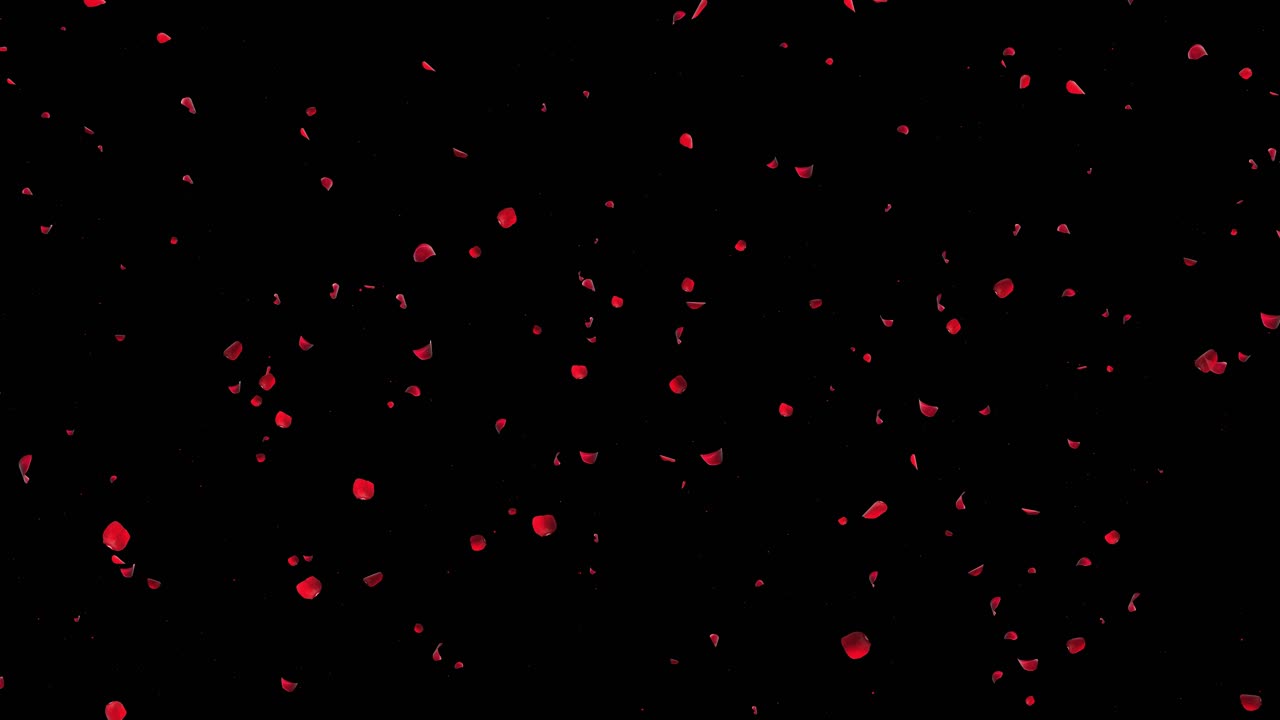 Rose Petals Falling on Black and Green Background