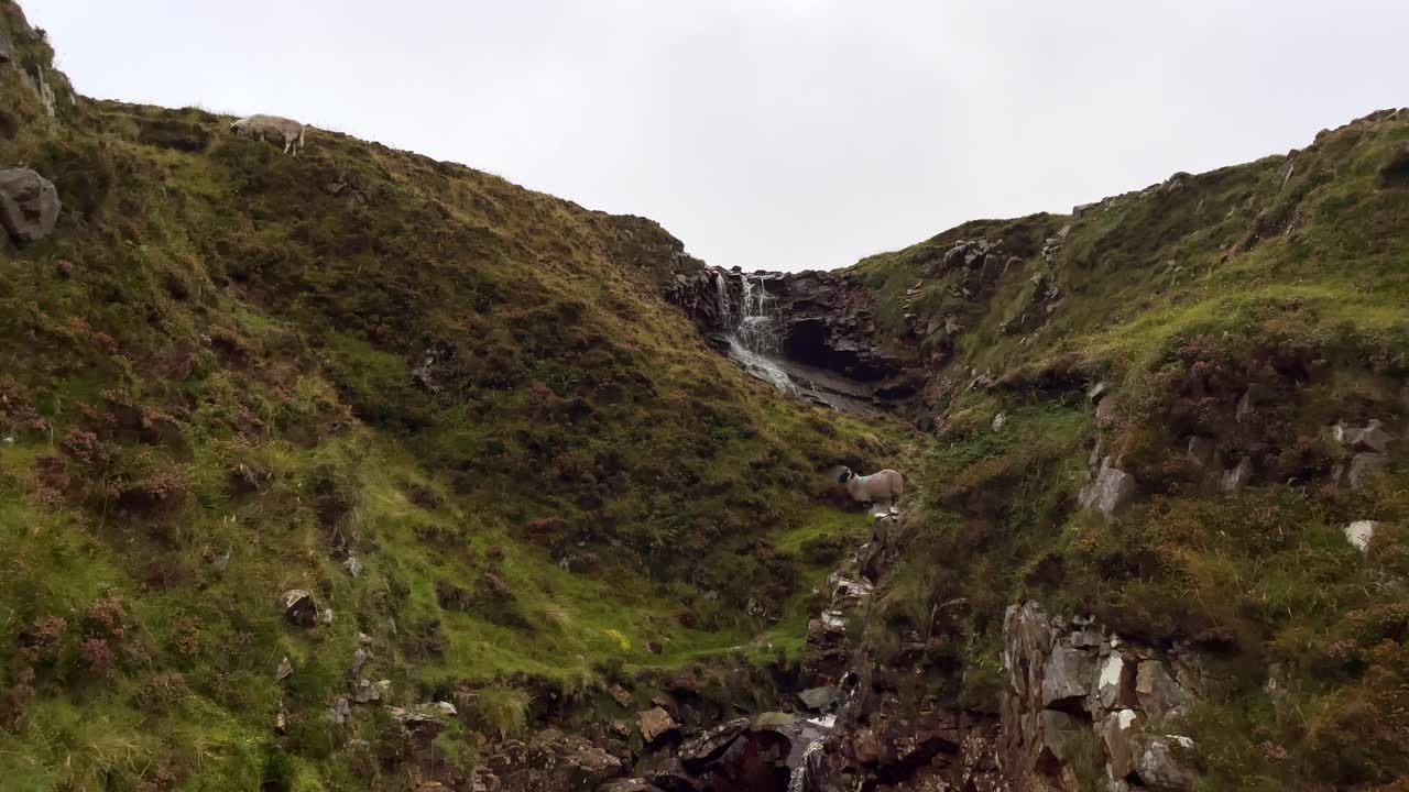 cascada que fluye lentamente en montañas verdes y ovejas pastando en la colina durante el día nublado en irlanda