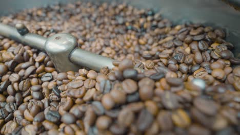 coffee beans in a roasting machine