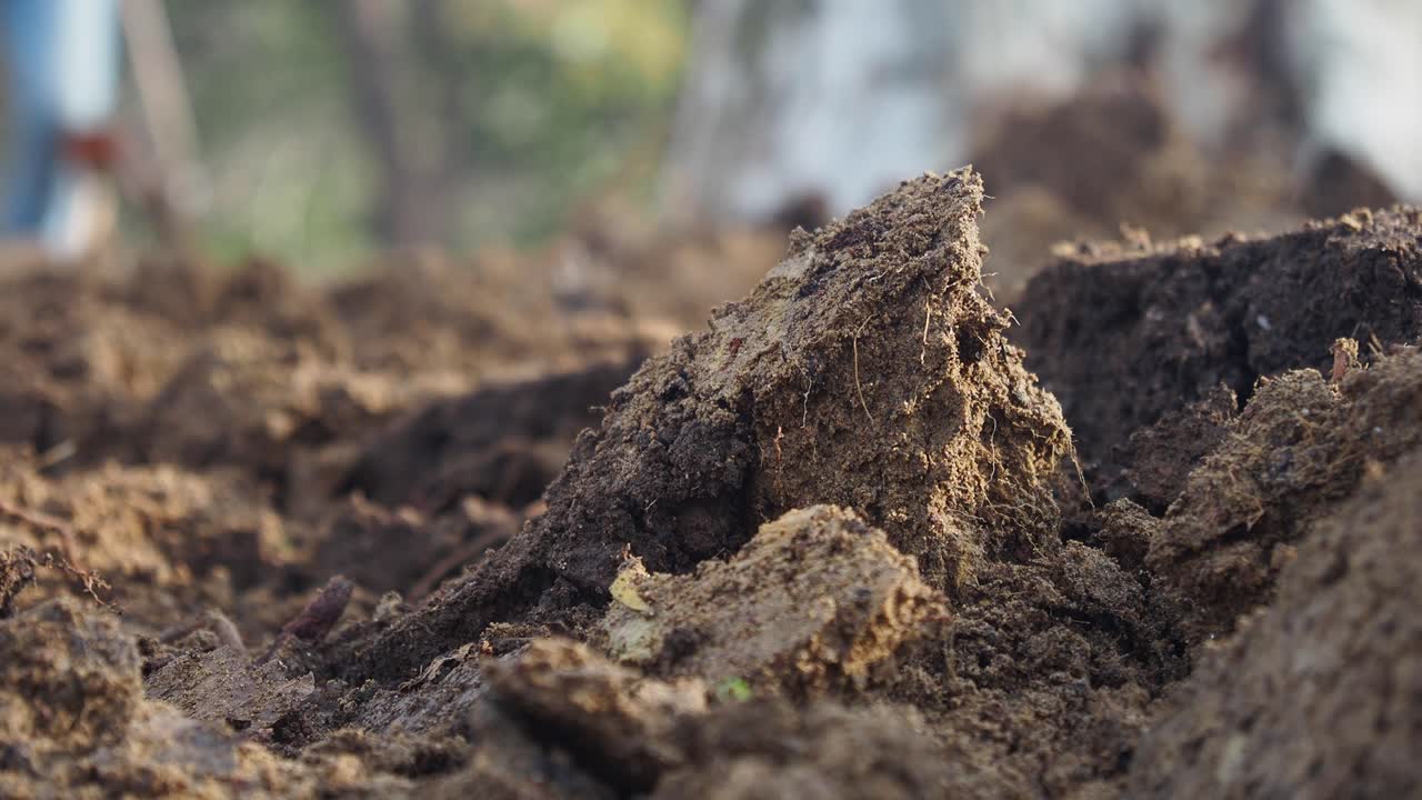 Campo arato con terreno