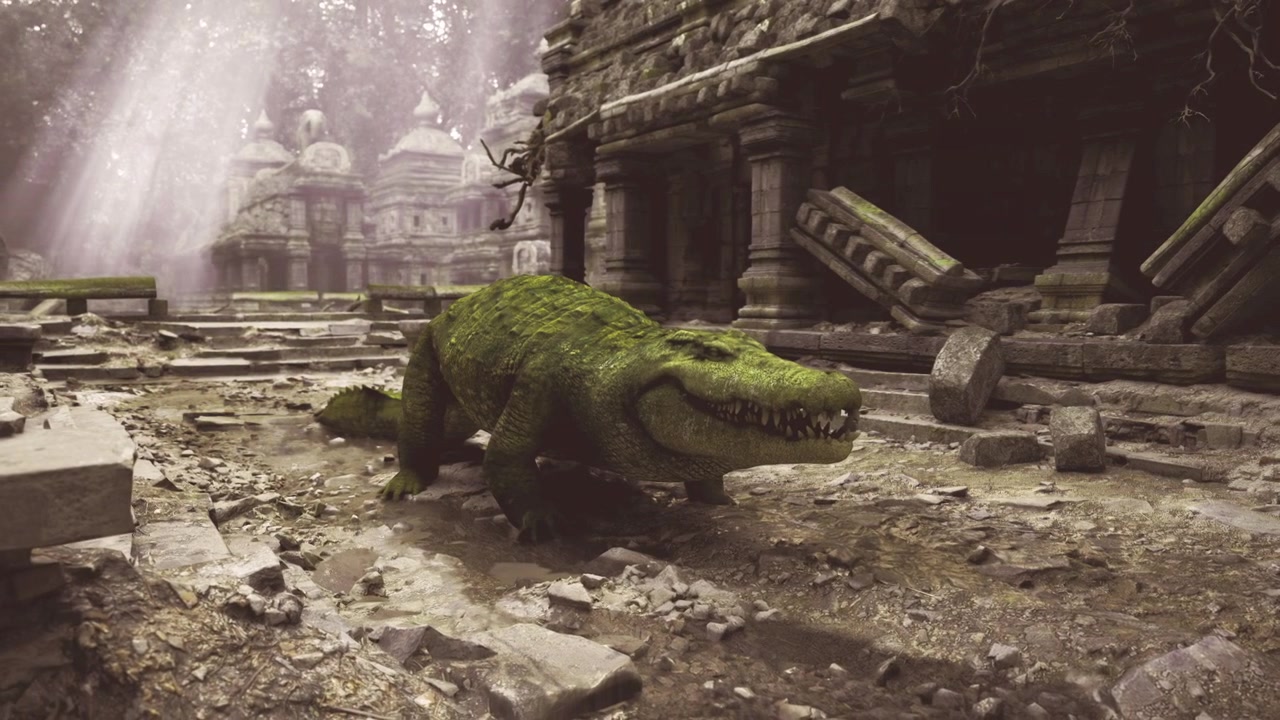 Crocodilo velho se aproxima lentamente de escadas esculpidas em um ambiente úmido.
