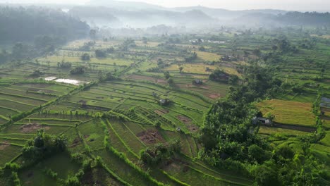 drone flying over rice terraces with smoke in the far distance