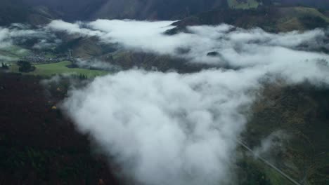 drone aerial, misty forest autumn after rain, hills and mountains