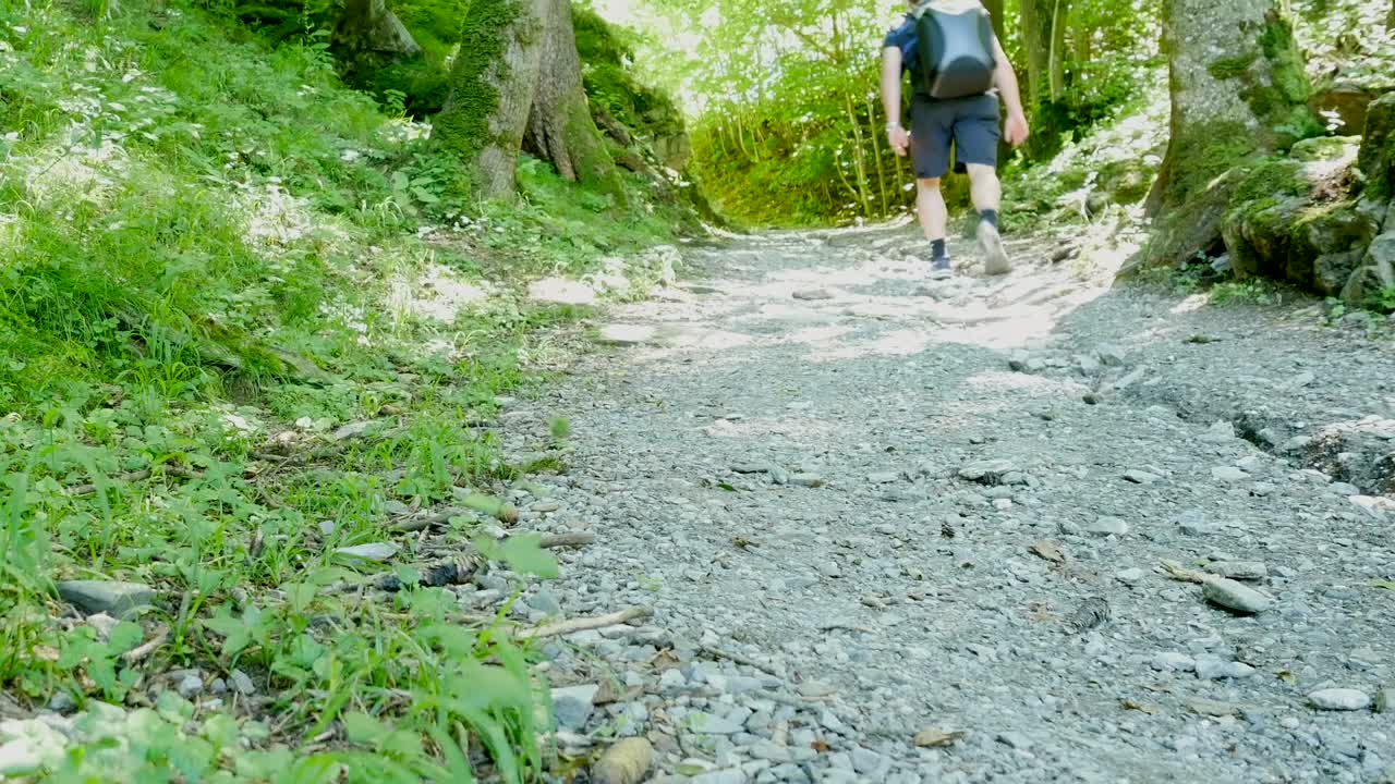 숲에서 하이킹하는 남자의 와이드 샷