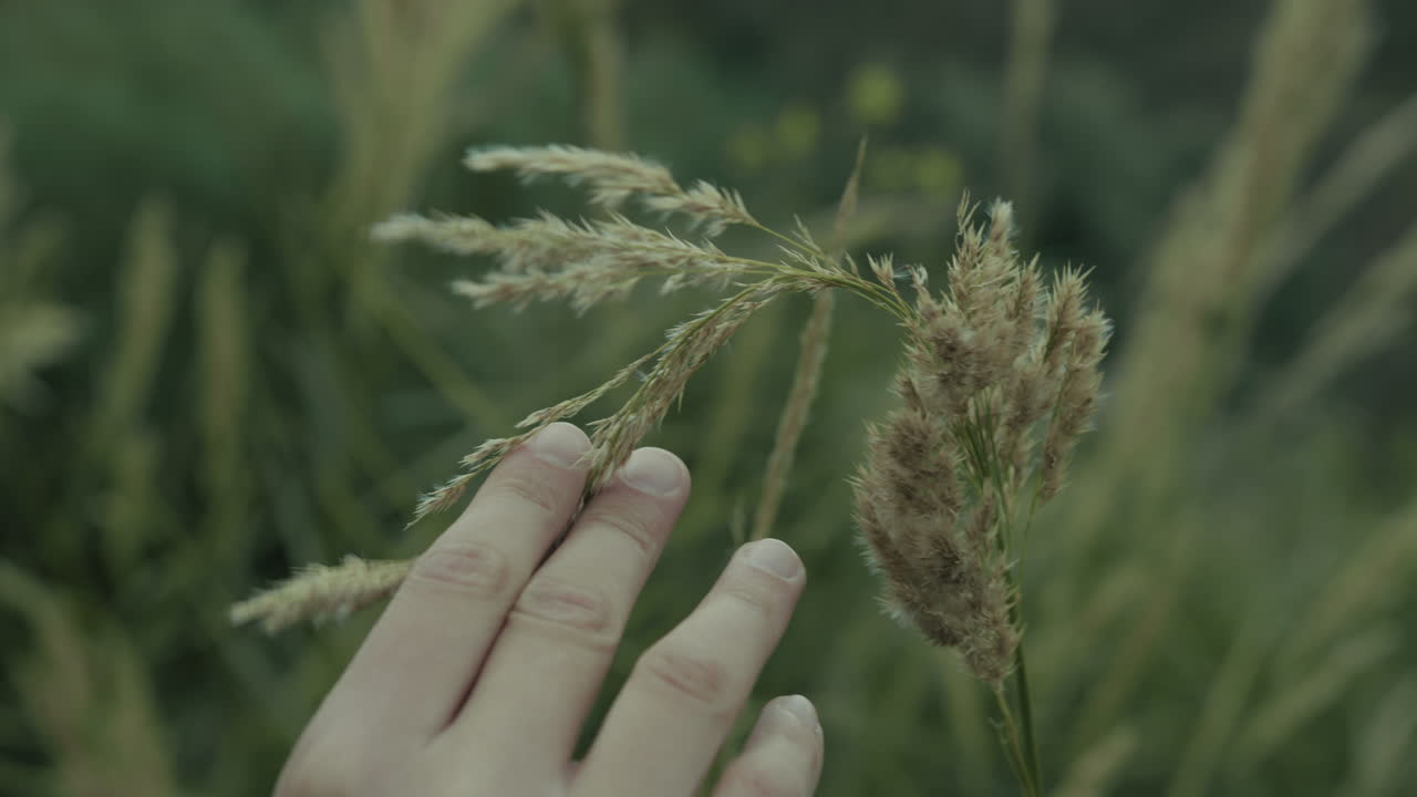 меланхоличная рука касается ушей в природе во время грустных и холодных мыслей