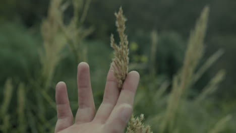 melancholy hand touches ears in nature during sad and cold thoughts