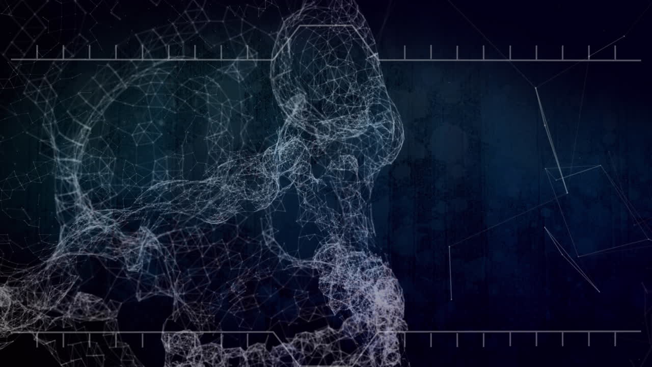 검은 바탕에 두개골을 형성하는 연결망