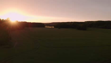 drone shot of a green field at sunset