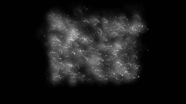 Fumi e vapori bianchi su sfondo nero, effetti visivi animati 2D