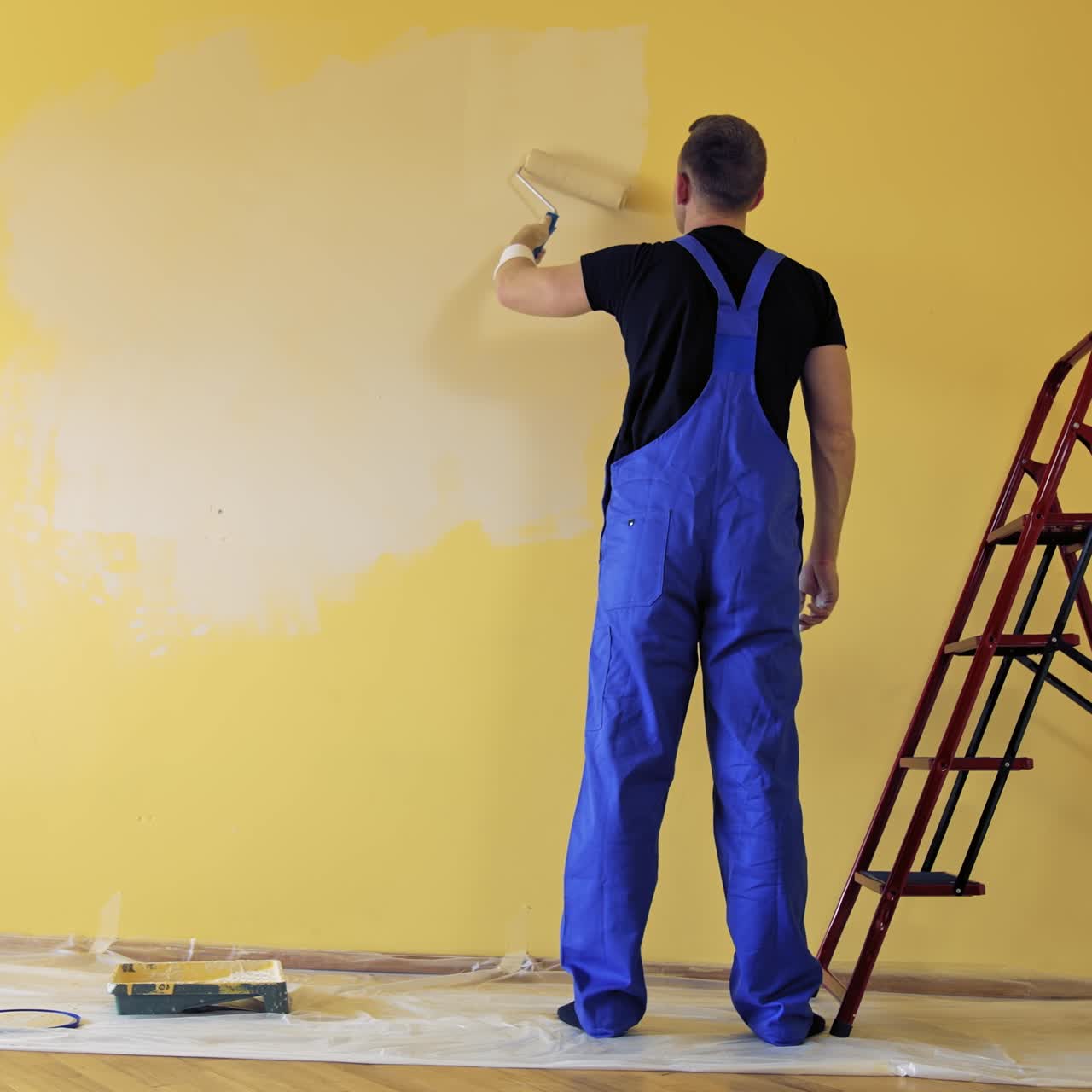 Man in blue overalls painting wall with a roller. Worker decorating room with a new color. Painting services. Rear view