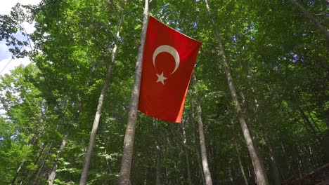 Türkische-Flagge-Hängt-In-Der-Natur.