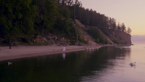 Aerial---Caucasian-Woman-in-White-Summer-Dress-Walks-by-the-Sea-At-Sunrise-on-Orlowo-Beach,-Revealing-White-Swangs-Floating-on-Calm-Water,-Poland-Vacation---Slow-motion