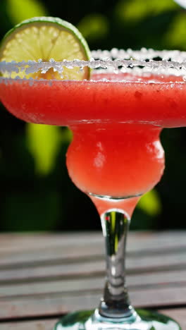 delicious watermelon margarita