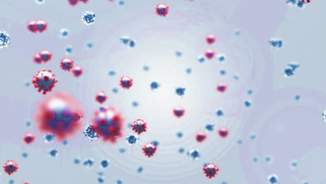 digital animation of multiple blue and red covid-19 cells floating against grey background