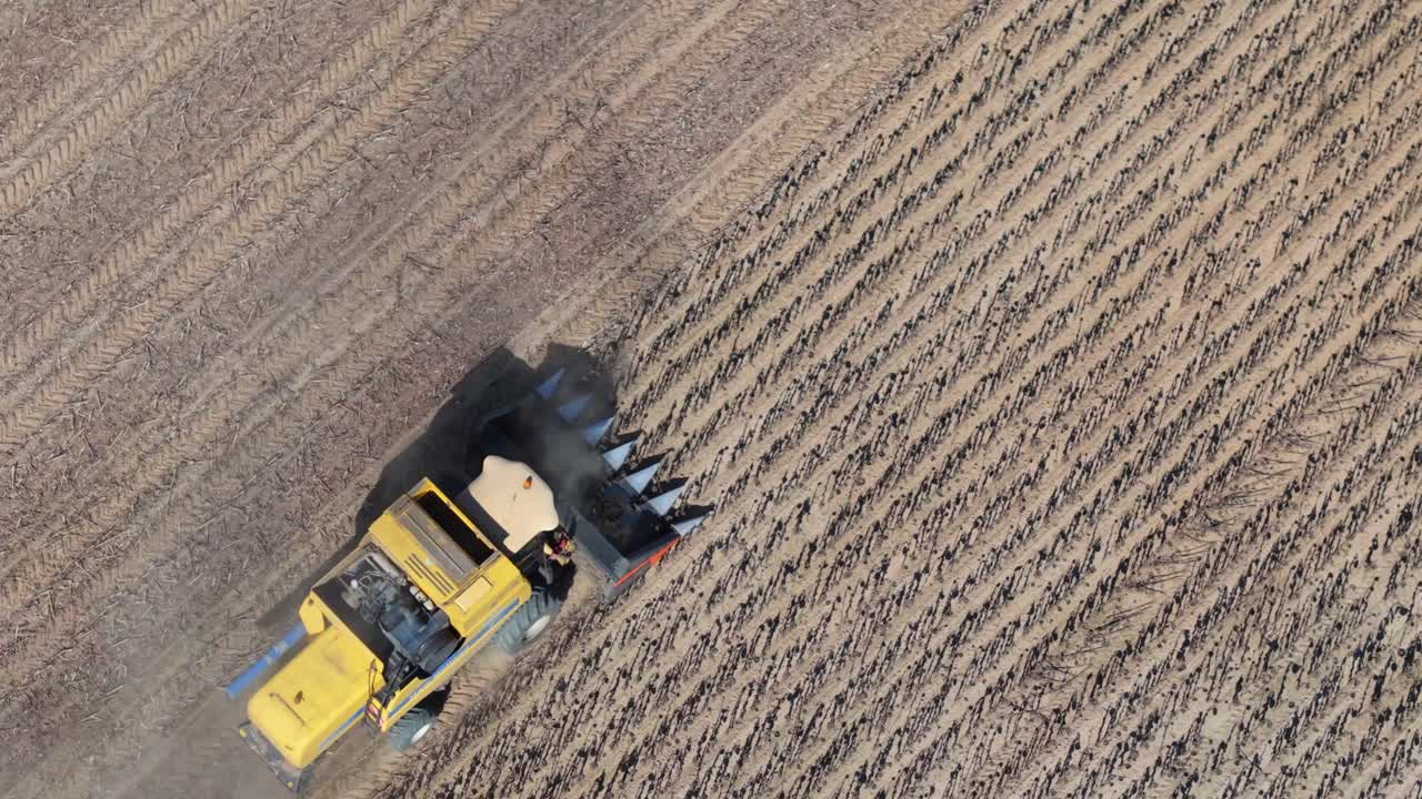 A yellow combine harvester operates in a harvested field, leaving behind rows of cut stalks and dry soil. The aerial video captures the machinery at work during the agricultural harvesting process