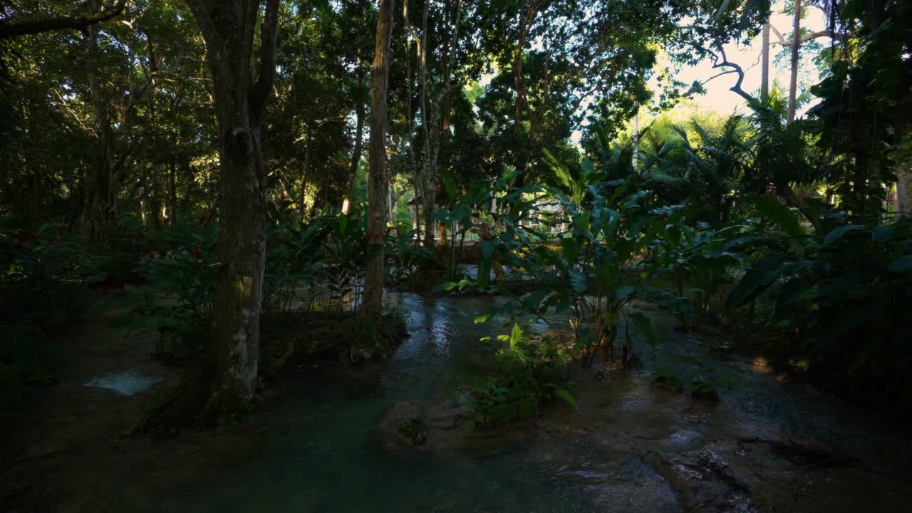 Jamaica | Ocho Rios Coast | Dunn’s River Falls & Park | Tranquility Garden.