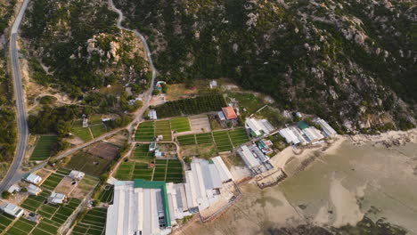 panorama aéreo sobre plantaciones de ajo y granjas camaroneras