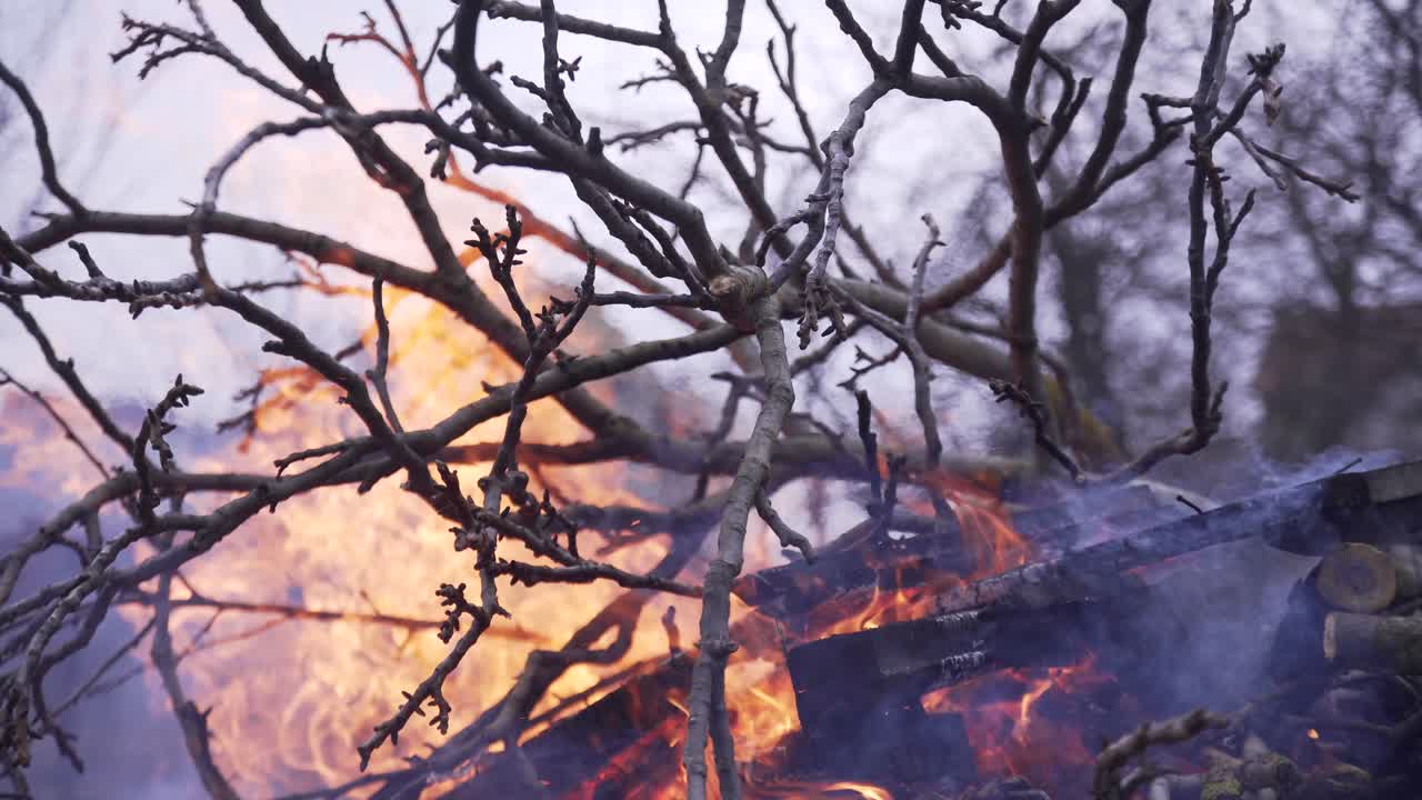 Bonfire with flame and smoke. Burning old tree branches by a farmer in the garden. Cloudy autumn day