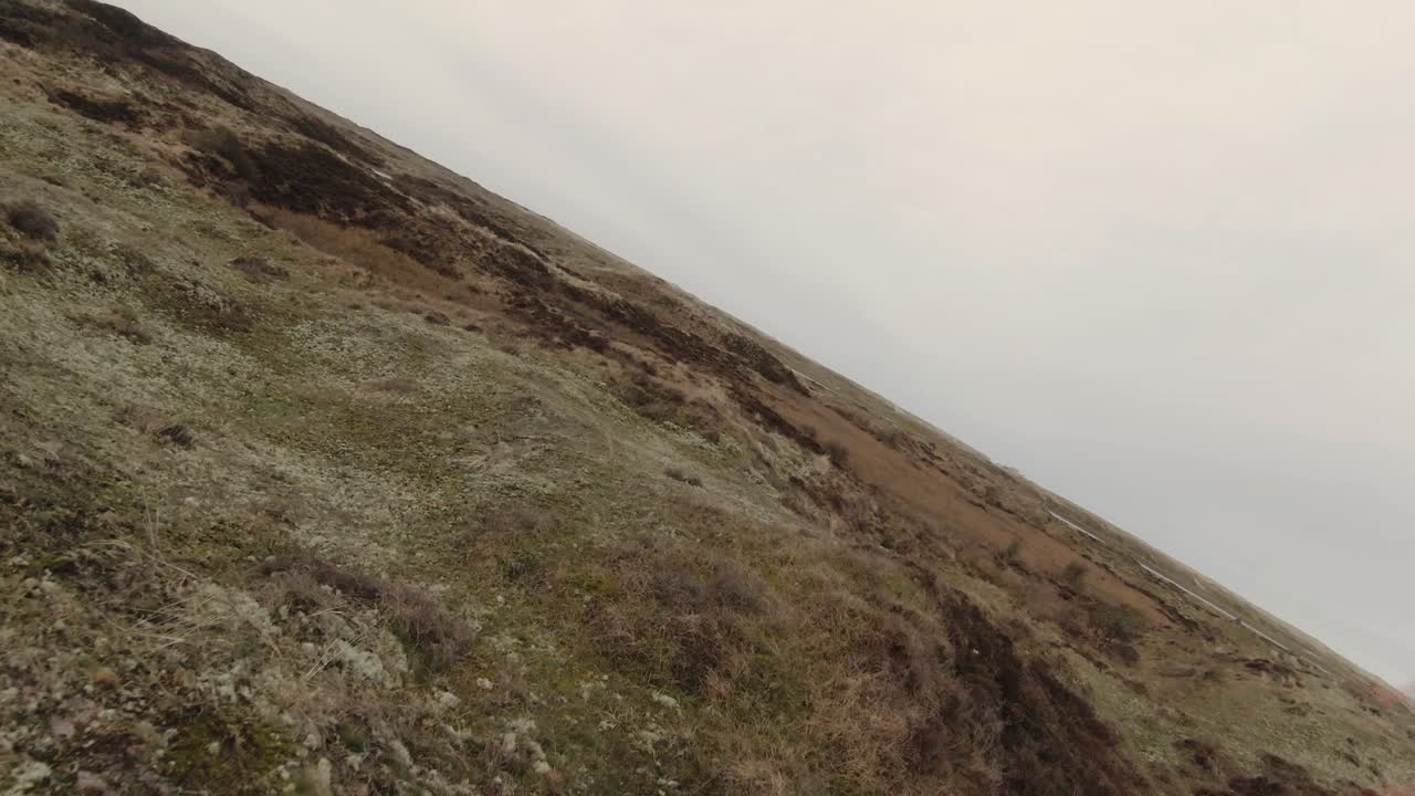 네덜란드 북부 홀랜드의 텍셀 섬 자연 보호 구역의 초원 구릉 언덕과 염습지